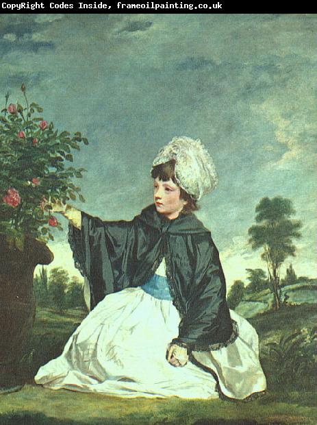 Sir Joshua Reynolds Lady Caroline Howard